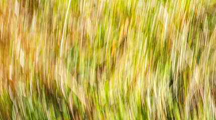 Colorful Blurred Abstract Background Design