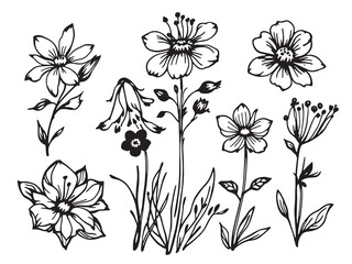 Bluebell Hand Sketched Flower Art