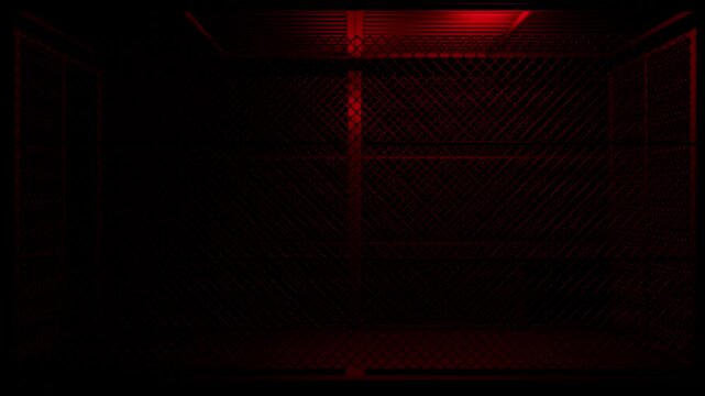 lights in the metal cage