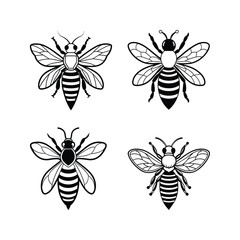 Silhouette bee with detailed wings and striped body 2