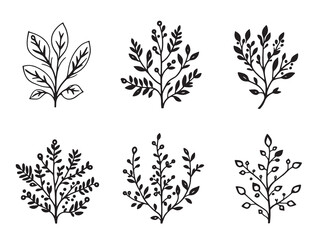 Fototapeta premium Butterfly Bush Clear Vision Black Line Art Design