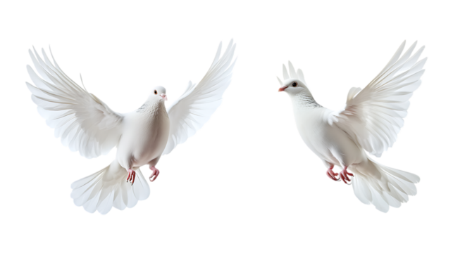 Pack of Flying Dove Set Against Transparent Background for Peace, Religious, or Design Themes