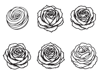 Candy Rose Black Line Art on White Background