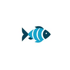 fish on a white background