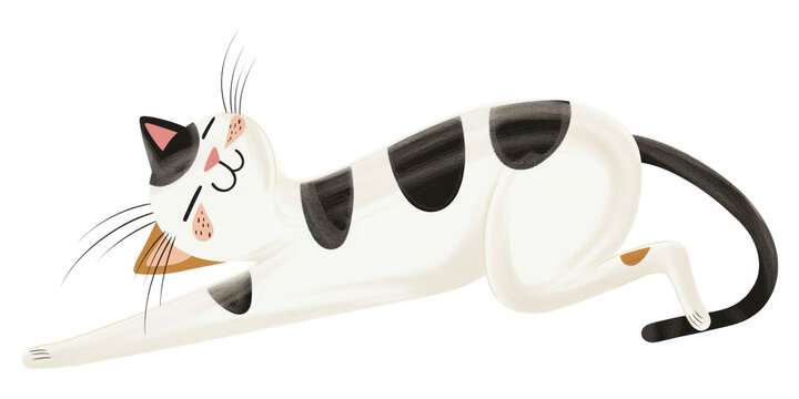 PNG  Piebald kitten stretching cat appliance device.