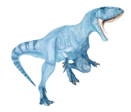 アルゼンチンの白亜紀前期の地層から発見されたカルカロドントサウルス科に属する大型肉食の獣脚類ティラノティタンの想像図