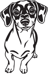 Dachshund Dog. Hand drawn vector illustration