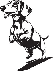 Dachshund Dog. Hand drawn vector illustration