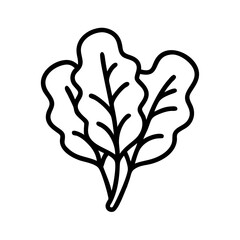 Outline drawing of fresh lettuce leaves for healthy eating and vegan lifestyle