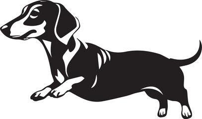 Dachshund Dog. Hand drawn vector illustration