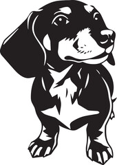 Dachshund Dog. Hand drawn vector illustration