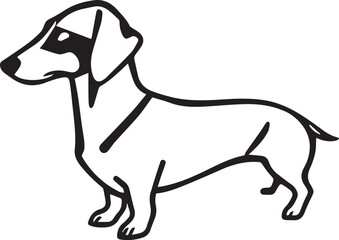 Dachshund Dog. Hand drawn vector illustration