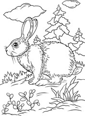 vector coloring hare in the forest