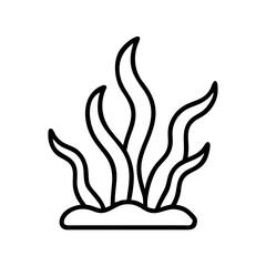 Seaweed vector illustration, underwater plant drawing, marine algae line art design