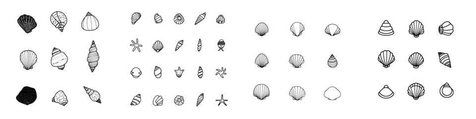 A contemporary collection of hand-drawn sea shells, with each shell sketched and isolated on a white background