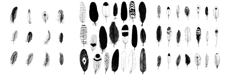 A set of hand-drawn feathers in ink, isolated on a white background, forms a collection of modern decorative animal feathers