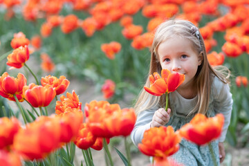 Adorable little caucasian blonde girl smiling in tulip field at spring day. Happy children's day 1th of June
