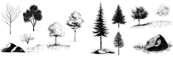 Modern illustration set featuring trees and water reflection, along with a landscape of forest depicted in a hand drawn sketch © Andrei