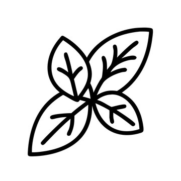 black outline basil leaves clip art preview
