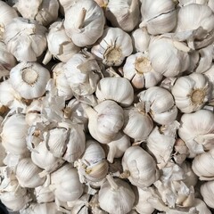 Fresh galic ready for sale in market for cooking.