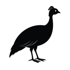 Guineafowl Silhouette Vector | Black and White Guineafowl Bird Art Illustration