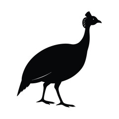 Guineafowl Silhouette Vector | Black and White Guineafowl Bird Art Illustration