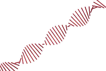 DNAの二重螺旋のイメージ