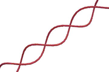 DNAの二重螺旋のイメージ