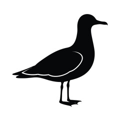 Gull Silhouette Vector Art – Black and White Seagull Bird Illustration Design