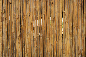 Natural brown bamboo surface vertical texture. Bamboo slat wall background