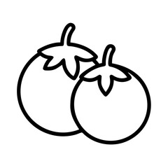 Tomato outline vector illustration, fresh organic vegetable line art drawing design