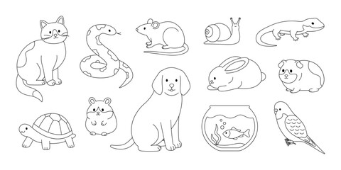 Cute pets coloring page. Outline set with cat, dog, rabbit, guinea pig, hamster, rat, parrot, fish, snake, turtle, lizard and snail. Contour domestic animals collection. Coloring book for print