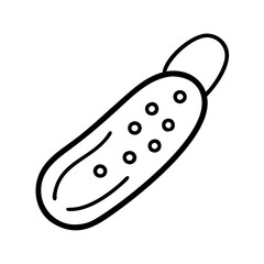 Outline drawing of a dill pickle illustration vector food icon for design needs