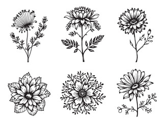 fairy duster clear vision black line art on white background