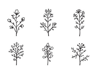 fairy duster black line art simple vision on white background