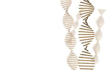 DNAの二重螺旋のイメージ