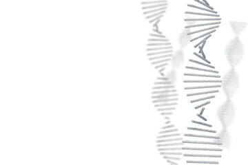 DNAの二重螺旋のイメージ