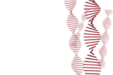 DNAの二重螺旋のイメージ