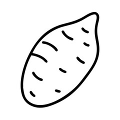 Illustration of sweet potato yam vector drawing healthy food ingredient design