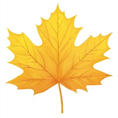Obraz premium A vibrant, autumnal maple leaf displays intricate venation patterns.