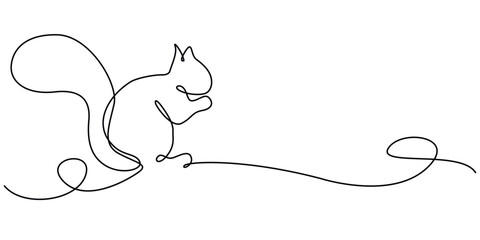 Squirrel Continuous Line Drawing on White Background