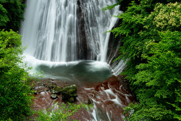 Obraz premium 初夏の滝の清らかな流れ6