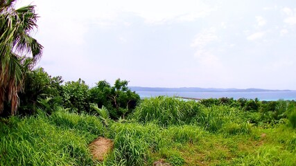 沖縄県八重山諸島鳩間島にある物見台から見える風景