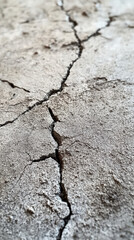 Fototapeta premium Cracked Earth's Story: A macro shot captures the intricate patterns of a crack running through a dry, weathered surface, symbolizing resilience. 