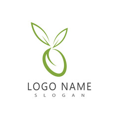 olive icon vector illustration design template