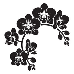 Vector Black silhouettes of orchid flowers. illustration. with white background © firoz