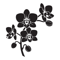 Vector Black silhouettes of orchid flowers. illustration. with white background © firoz