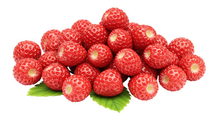 Isolated Pile of Wild Strawberries