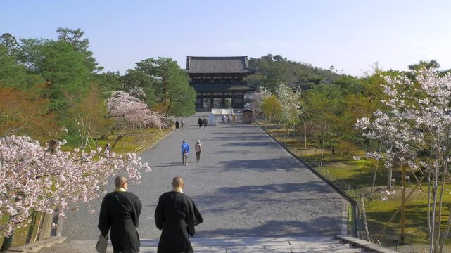 京都 仁和寺 中門から仁王門を望む