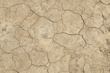The barren ground displays deep cracks, indicating severe dryness and lack of moisture. Sunlight harshly illuminates this arid terrain, highlighting the effects of drought